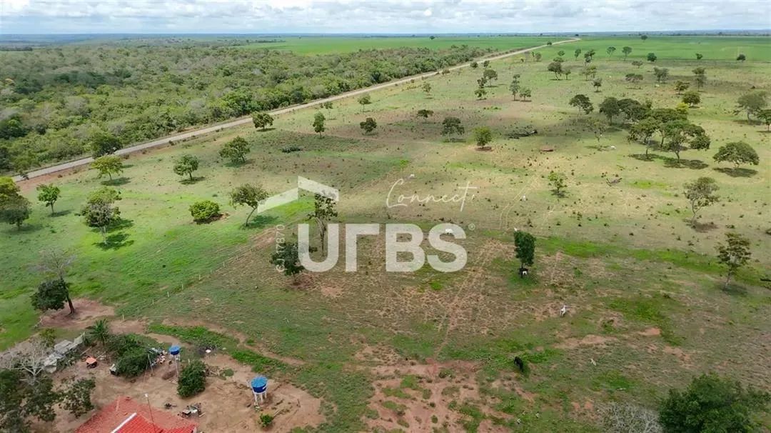 FAZENDA 90 ALQUEIRES - Foto 4