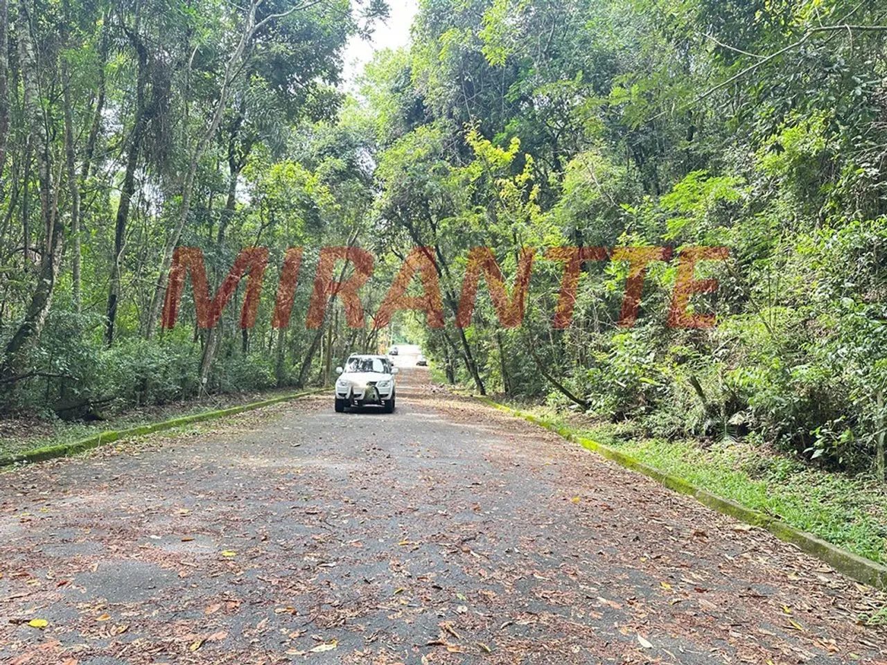 Outros em Caraguata - Foto 4