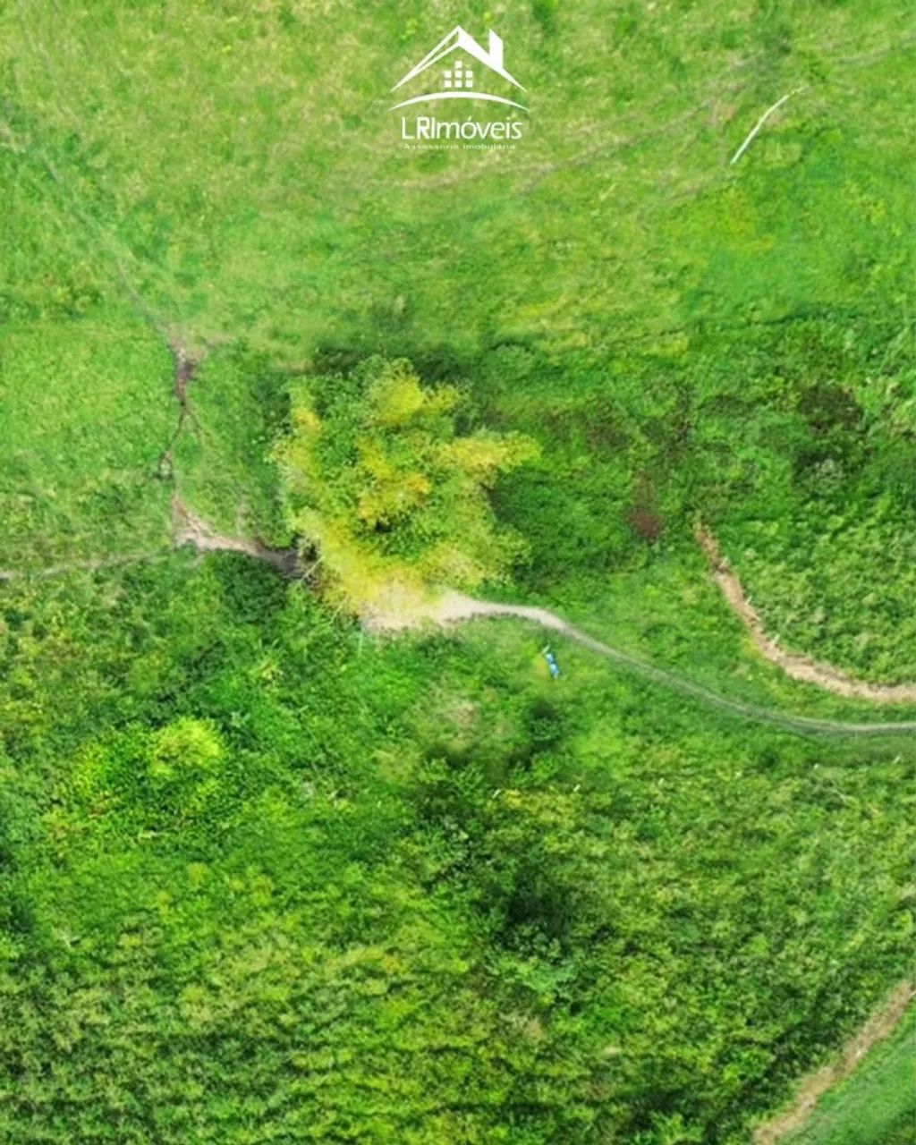 Fazenda para Venda em Murici - Foto 4