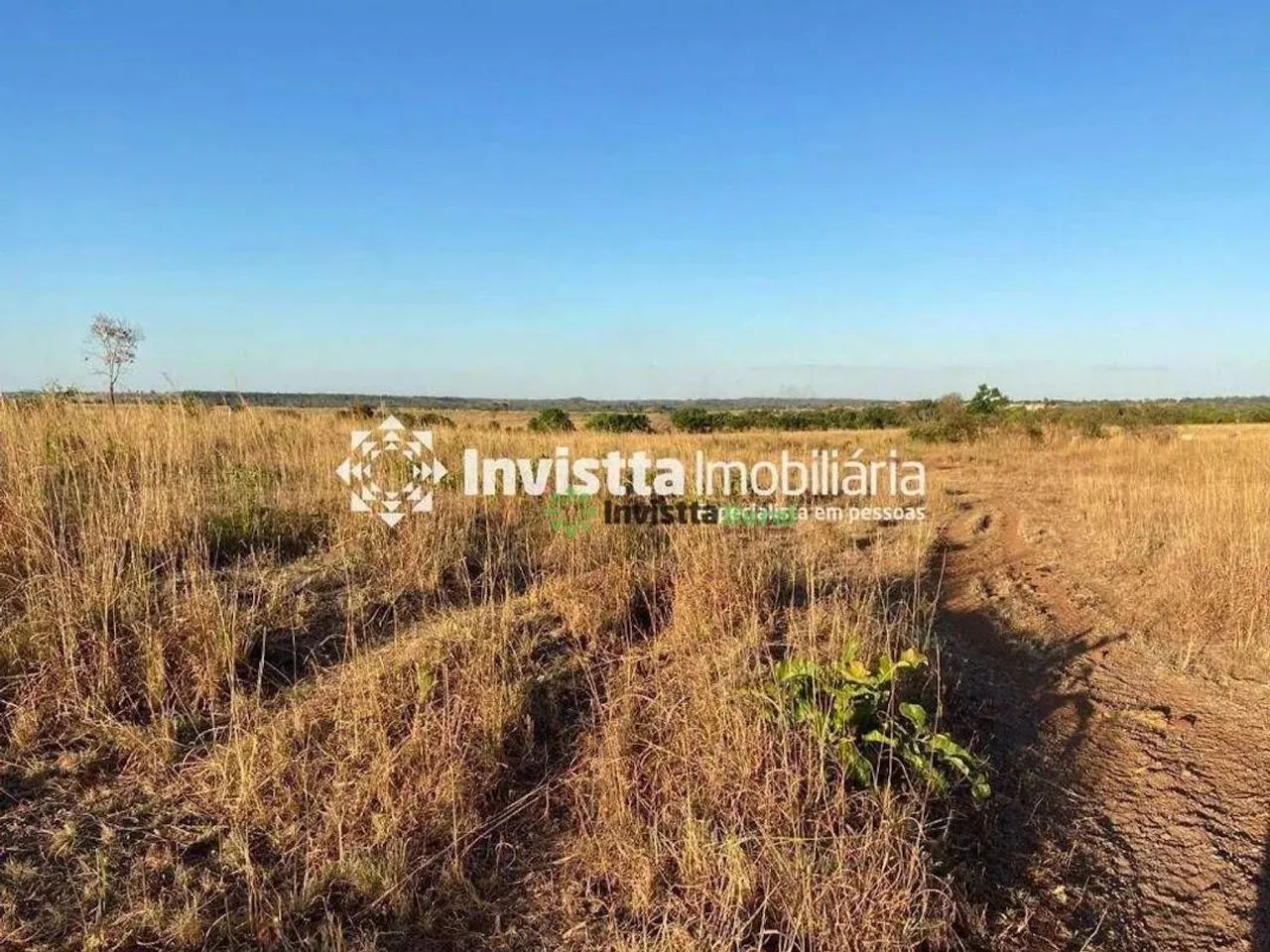 Fazenda à venda com 52 alqueires, excelente logística e aptidão agrícola