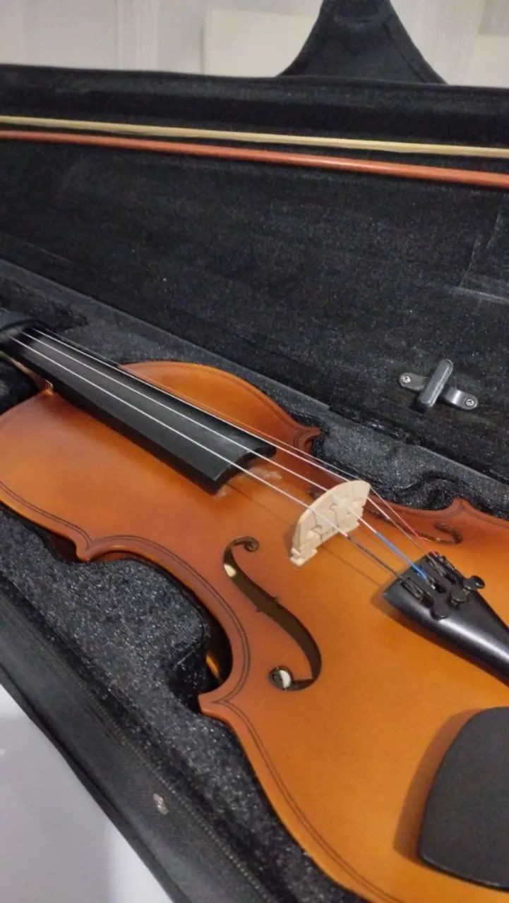 vendo violino 