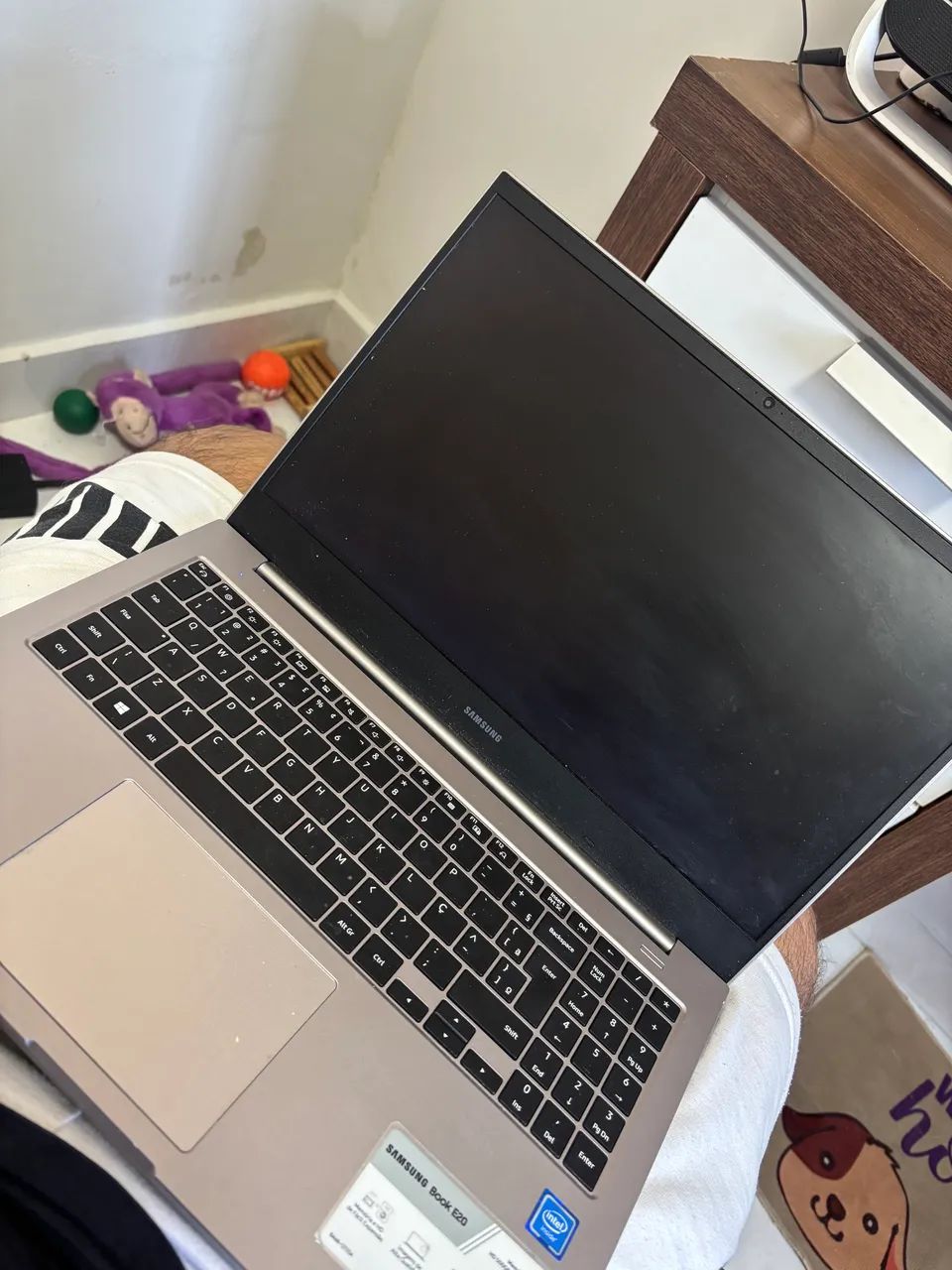 Notebook Samsung Book E20 15.6? Intel Windows 11 - Excelente Estado