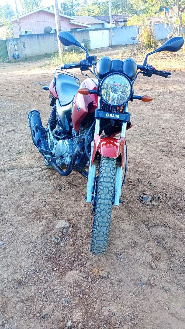 Factor 125 ED YBR