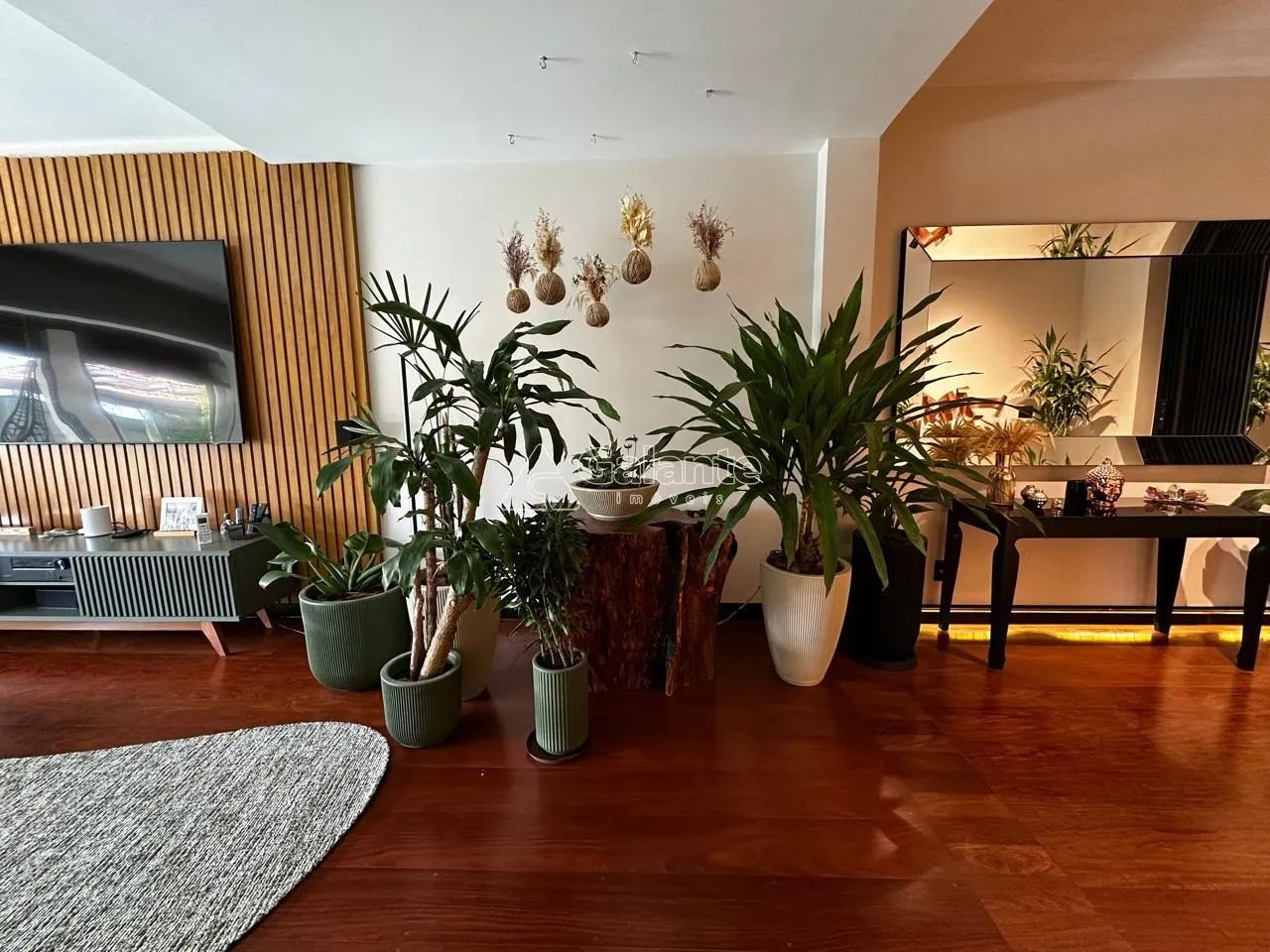 casa - Parque da Hípica - Campinas - Foto 4