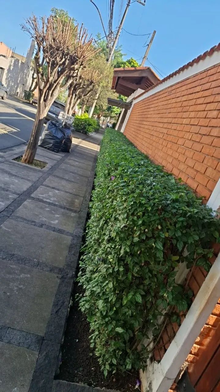 JARDINEIRO PROFISSIONAL - SERVIÇOS DE JARDINAGEM - Foto 3