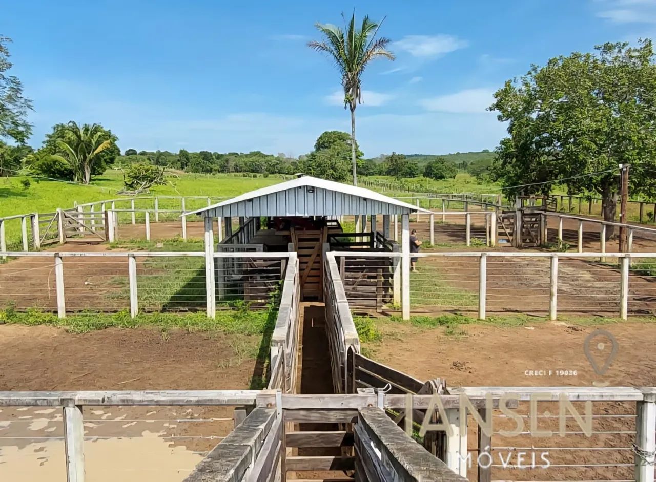 Fazenda 6 anos de prazo avalia permuta  - Foto 2