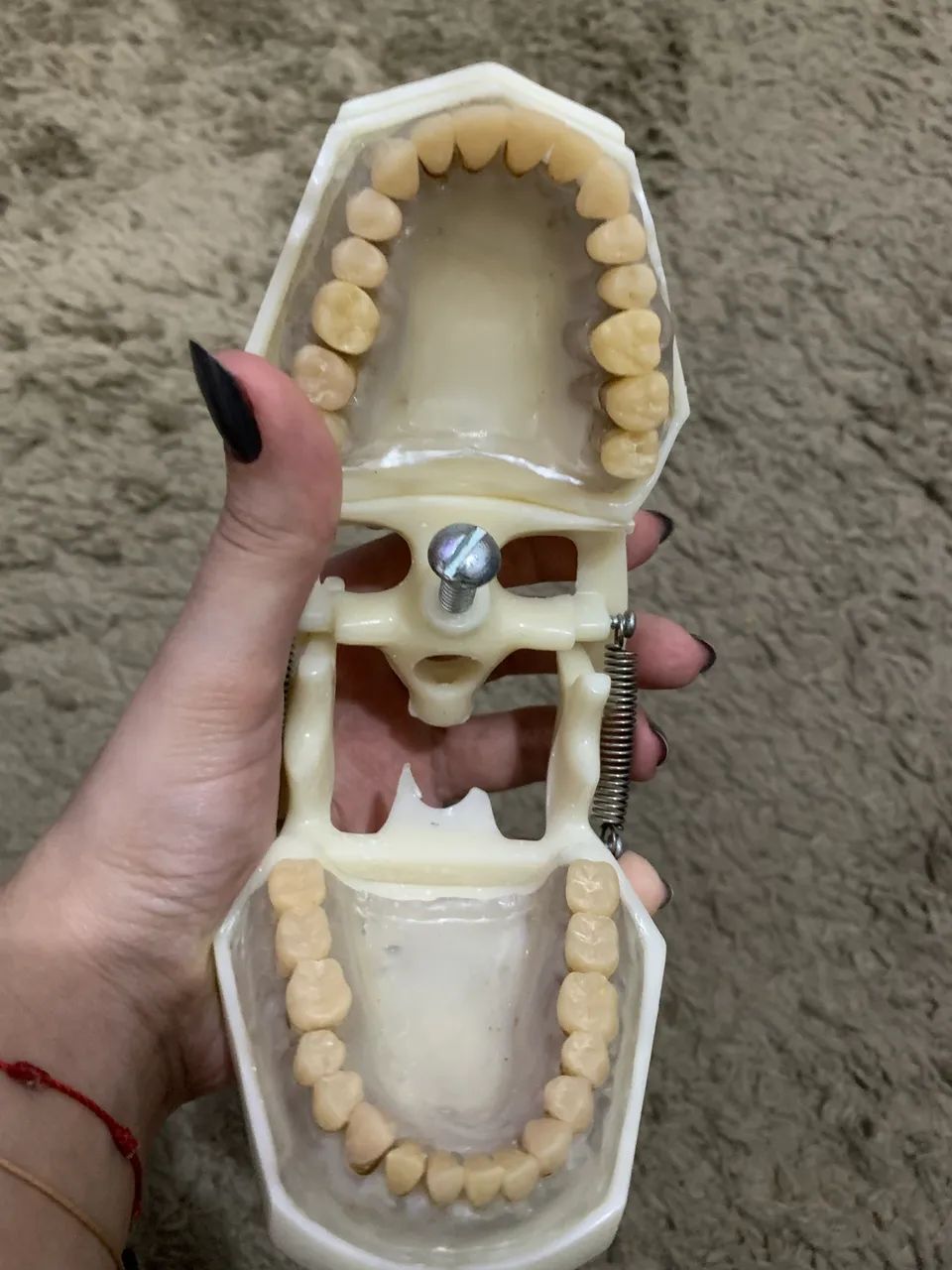 Manequim odontológico Dent Art - Foto 2