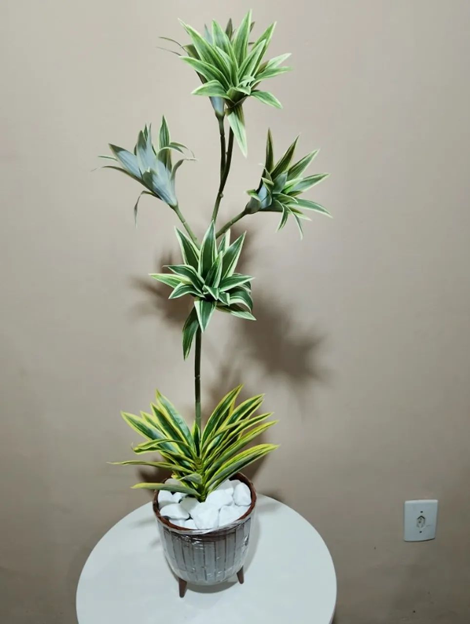 lindo arranjo de dracena brasileirinho permanente - Foto 2