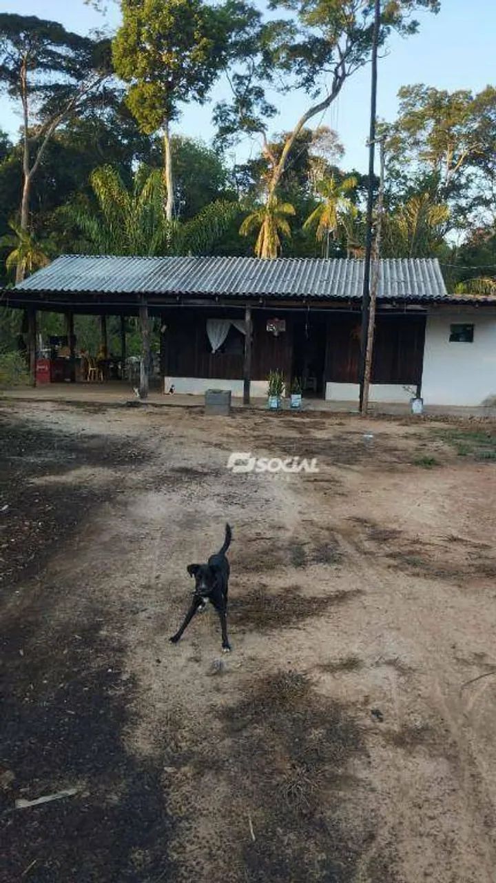 Oportunidade Imperdível: Chácara Produtiva com Café, Pomar e Casa Pronta para Morar! - Foto 3