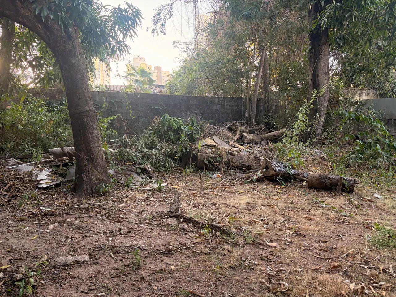 Lote com 725m2 bairro Duque de Caxias  - Foto 3