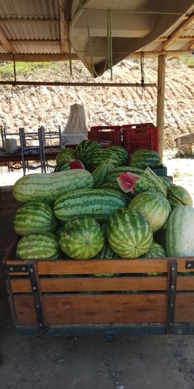 Pimentao e mel direto do colono