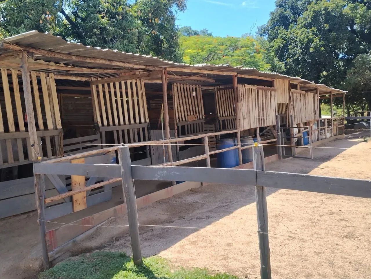 Aluguel baias para cavalos  - Foto 2