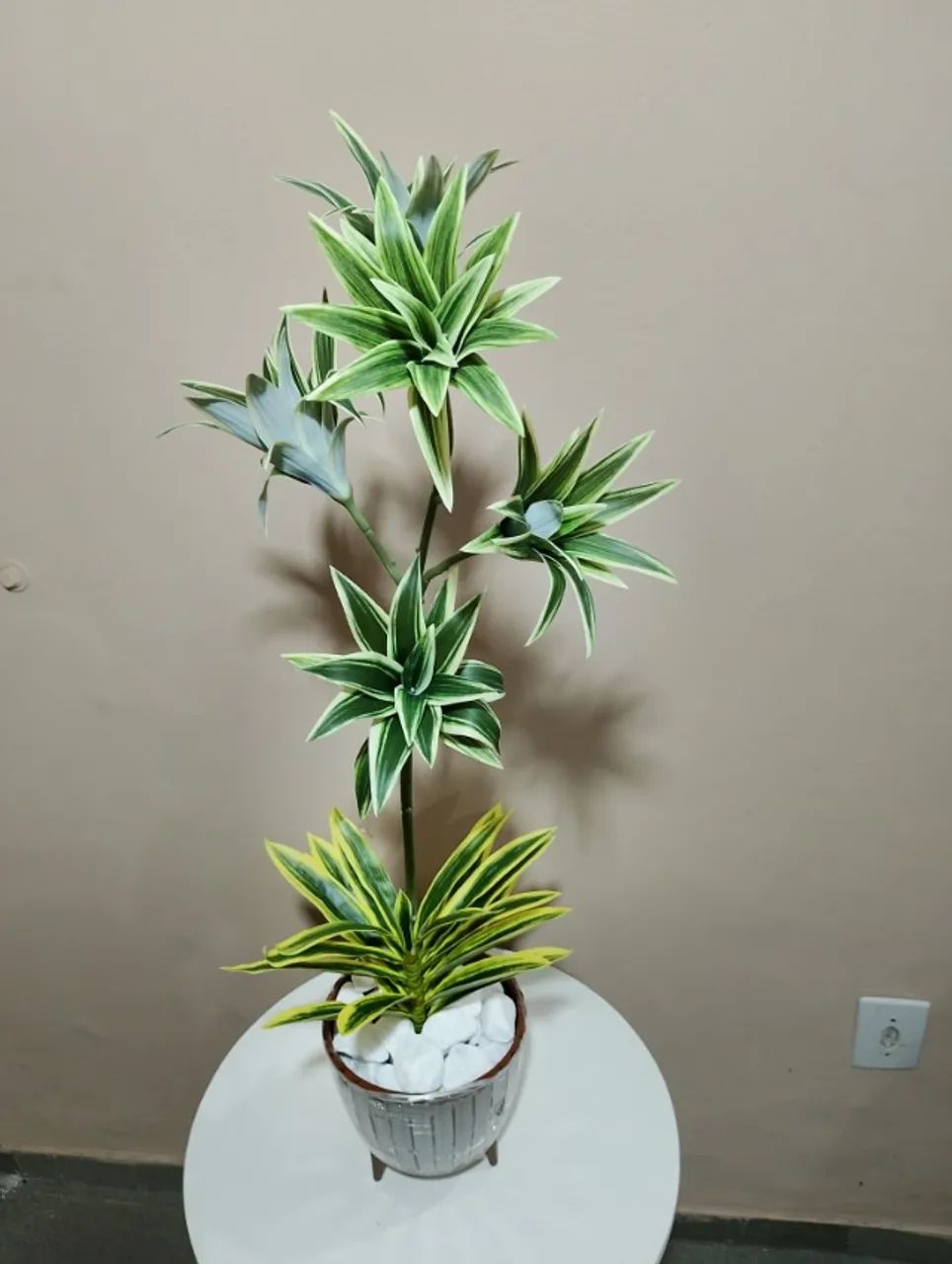 lindo arranjo de dracena brasileirinho permanente - Foto 5