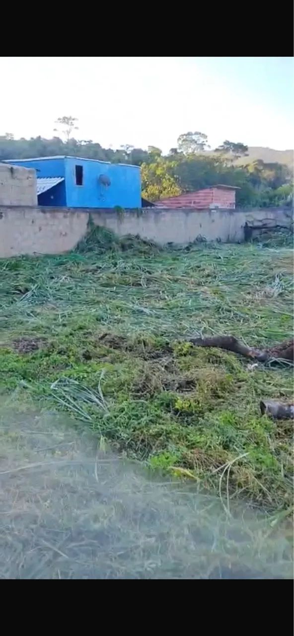Terreno em Jacone
