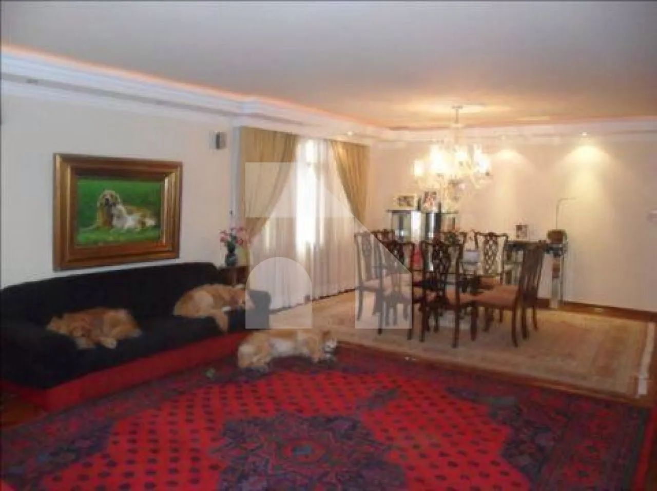 Apartamento de 3 dormitórios em Higienópolis - Foto 5