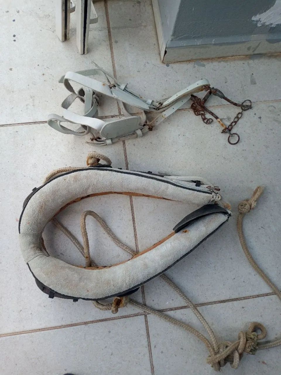 Arreios para charrete  - Foto 3