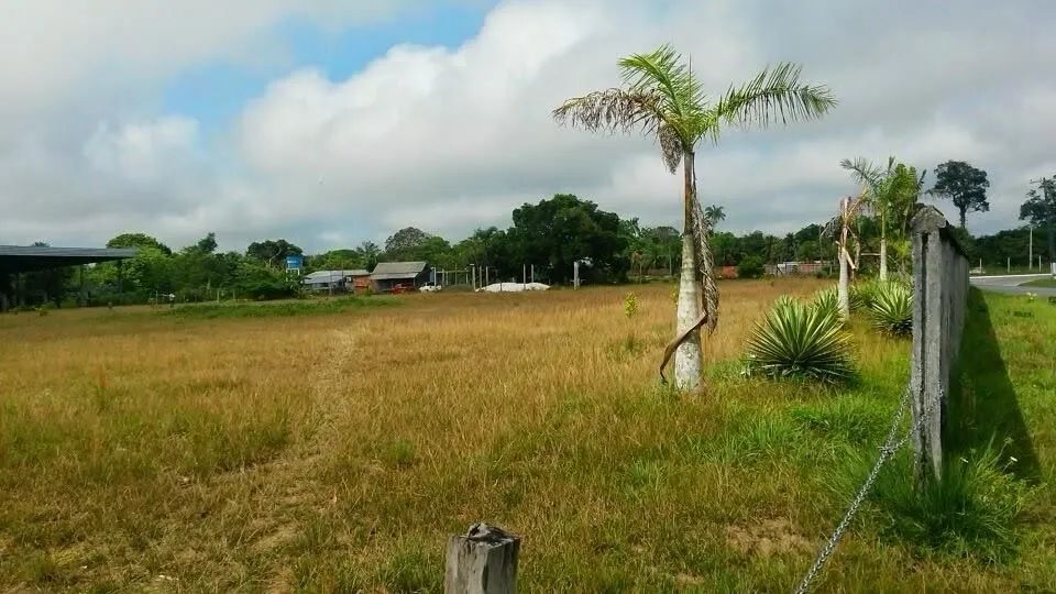 //Alugo Terreno com Galpão na BR 174 - Foto 3