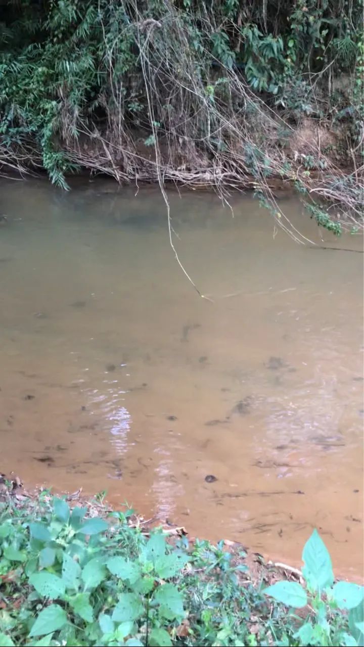 Chácara Direto com o proprietário! Domingos Martins com casa piscina riacho - Foto 8