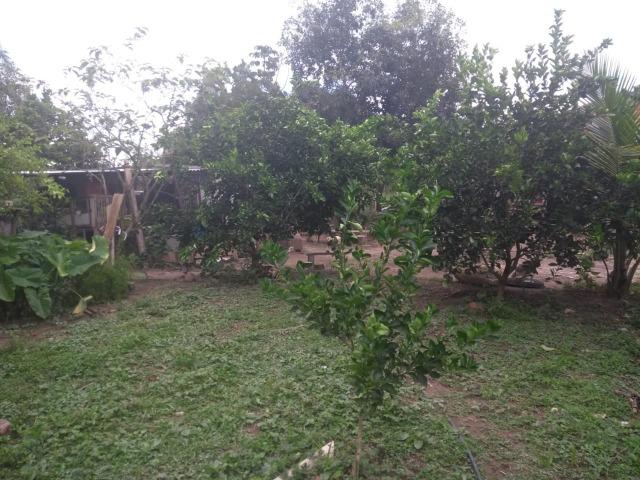 Chácara Lago Corumbá Caldas - Foto 13