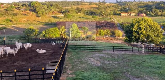Fazenda em Bonança com 20 hectares (Cód.: 123que) - Foto 2