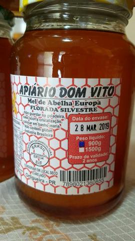 Mel de Abelha Europa Florada - Foto 3