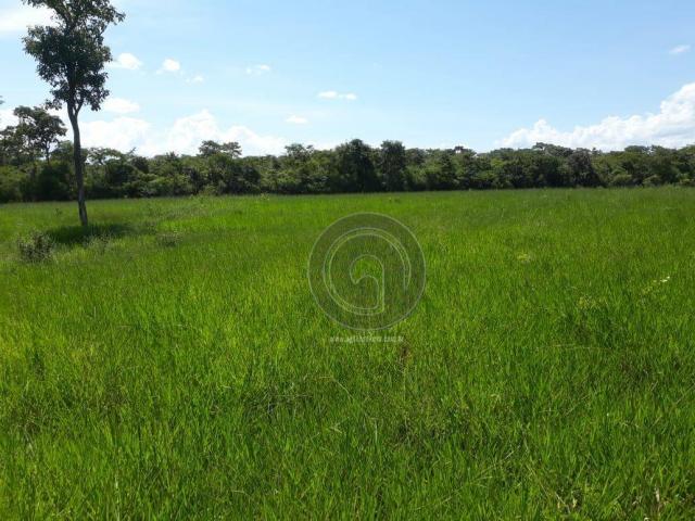 Sítio à venda na região de cáceres/mt - Foto 5