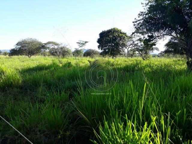 Sítio à venda na região de cáceres/mt - Foto 10
