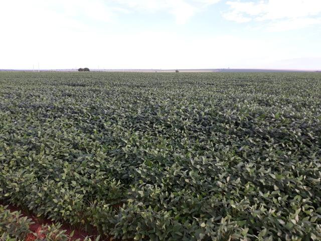 Fazenda 6.600 Hectares Plantando Lavoura - MT