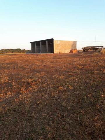 Fazenda c/ 830he, C/ 700he aberto, faz lavoura em 650he, Itiquira-MT - Foto 12