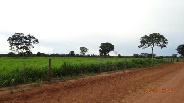 Fazenda c/ 4.500he, C/ 80% aberto, parte faz lavoura, Nova Xavantina-MT - Foto 8