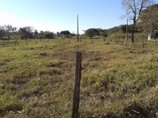 Sitio c/ 48he c/ 80% aberto, porteira fechada, N S Livramento-MT, faz troca - Foto 5