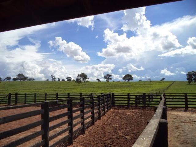 Fazenda c/ 3.480he c/ 80% formada, as margens da BR, Rondonópolis-MT