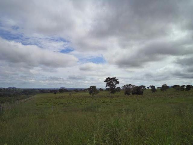 Fazenda c/ 3.480he c/ 80% formada, as margens da BR, Rondonópolis-MT - Foto 2
