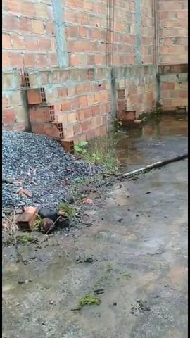 LAJE troco ou vendo - Foto 2