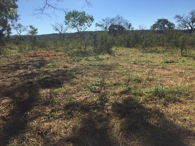 Fazenda c/ 570he, c/ 90% aberto/juquirado, 8km de Itiquira-MT, entrada + 4 parcelas - Foto 8