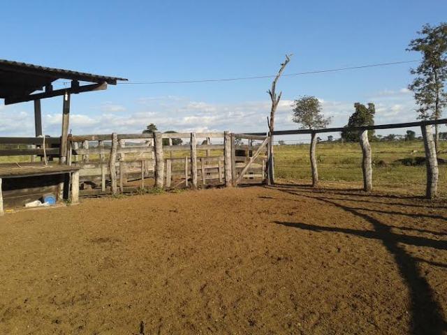 Fazenda c/ 500he c/ 315he formado, a 50km de Cuiabá-MT