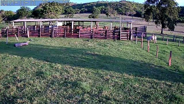 Fazenda com 686he, c/ 350He formado, terra boa, 30km antes Guiratinga-MT - Foto 13