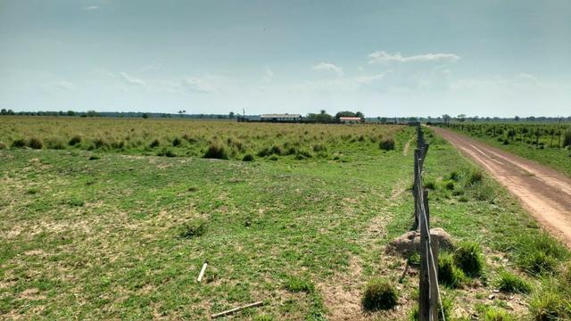 Fazenda c/ 1.000he, 620he formados, Itiquira-MT - Foto 5
