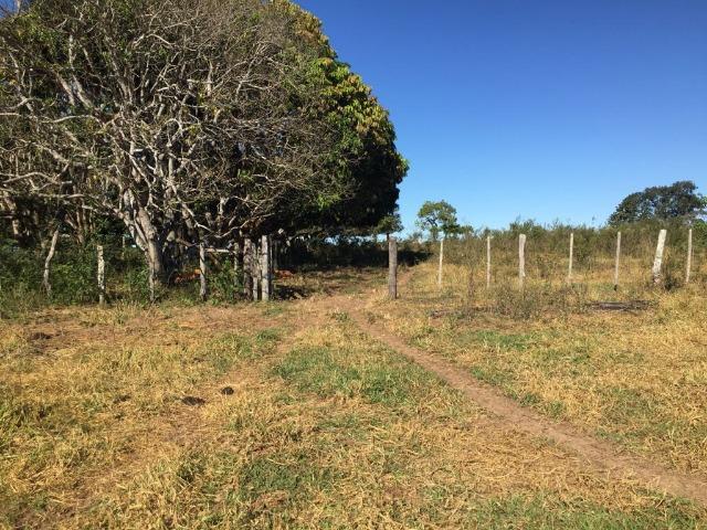 Fazenda c/ 570he, c/ 90% aberto/juquirado, 8km de Itiquira-MT, entrada + 4 parcelas - Foto 13