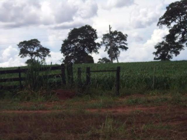 Fazenda c/ 3.480he c/ 80% formada, as margens da BR, Rondonópolis-MT - Foto 6