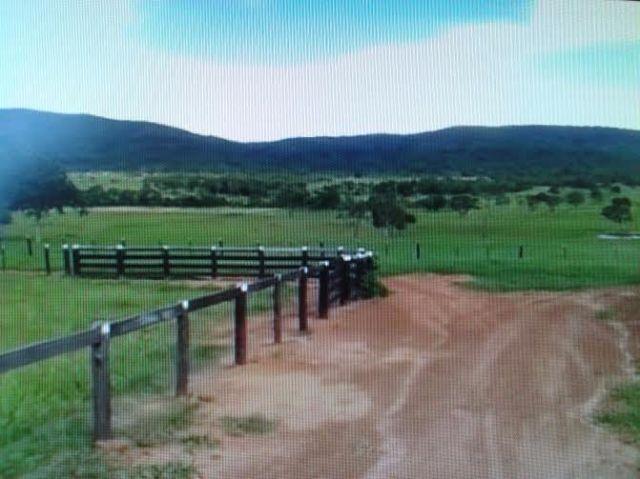 Fazenda c/ 1.098he c/ 80% formado, a 5km da BR, Caceres-MT