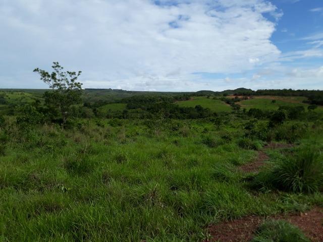 Fazenda c/ 912he, 550he formados, Terra boa, Itiquira-MT - Foto 10
