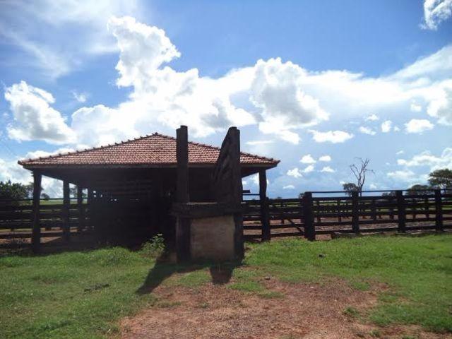 Fazenda c/ 3.480he c/ 80% formada, as margens da BR, Rondonópolis-MT - Foto 12