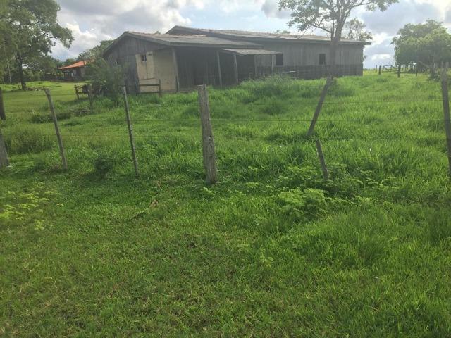 Fazenda c/ 912he, 550he formados, Terra boa, Itiquira-MT - Foto 7