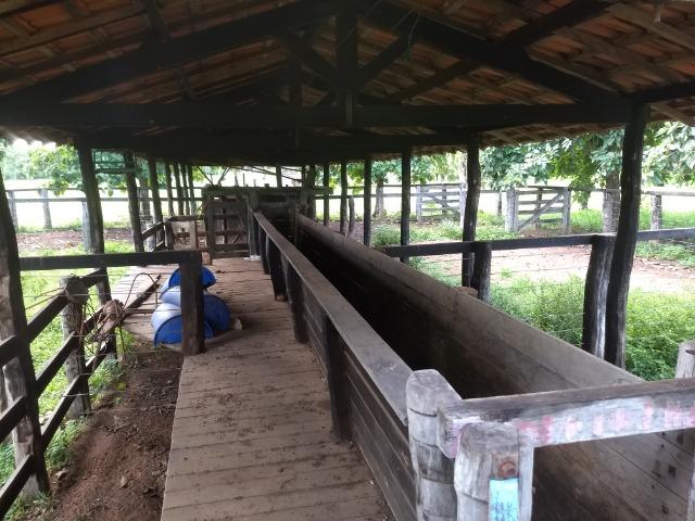 Fazenda com 200he, c/ 50% formado, terra de cultura, 40km de Cuiabá-MT - Foto 10