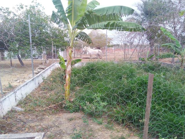 Chácara.sítio .a venda - Foto 3