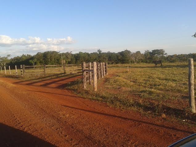 Fazenda c/ 500he c/ 315he formado, a 50km de Cuiabá-MT - Foto 7