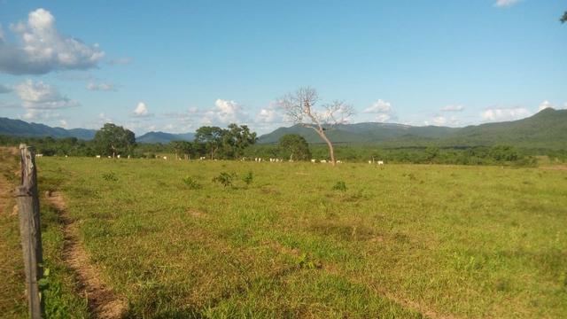 Fazenda 1.210 Hectares Excelente Pecuária - Cáceres - MT - Foto 9
