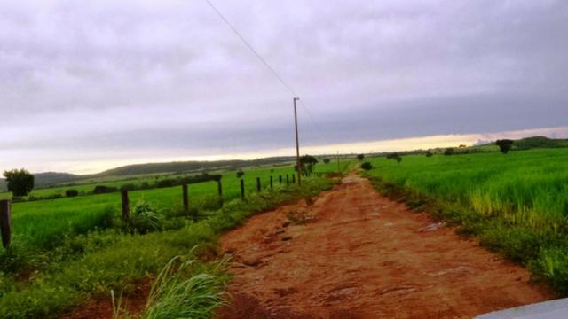 Fazenda 1.620 Hectares Dupla Aptidão - Água Boa - MT