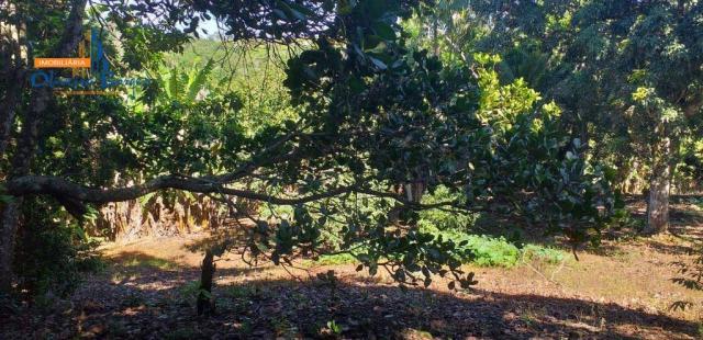 Chácara à venda por R$450.000 - Bairro São Lourenço - Anápolis/GO - Foto 6